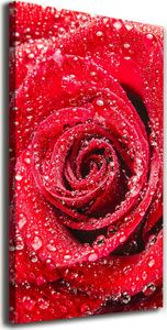 Tulup Obraz Na Płótnie 50x100 Obraz Canvas Czerwona róża 1