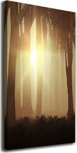 Tulup Obraz Na Płótnie 50x100 Obraz Canvas Mgłą w lesie 1