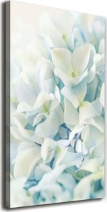 Tulup Obraz Na Płótnie 50x100 Obraz Canvas Kwiat hortensji 1
