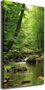 Tulup Obraz Na Płótnie 50x100 Obraz Canvas Rzeka w lesie 1
