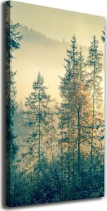 Tulup Obraz Na Płótnie 50x100 Obraz Canvas Mgła nad lasem 1