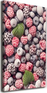 Tulup Obraz Na Płótnie 50x100 Obraz Canvas Mrożone owoce 1