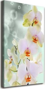 Tulup Obraz Na Płótnie 50x100 Obraz Canvas Orchidea 1