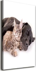 Tulup Obraz Na Płótnie 50x100 Obraz Canvas Pies i kot 1
