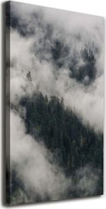 Tulup Obraz Na Płótnie 50x100 Obraz Canvas Chmura nad lasem 1