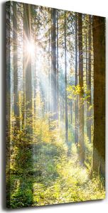 Tulup Obraz Na Płótnie 50x100 Obraz Canvas Słońce w lesie 1