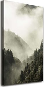 Tulup Obraz Na Płótnie 50x100 Obraz Canvas Mgła nad lasem 1