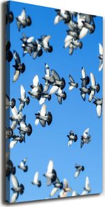 Tulup Obraz Na Płótnie 50x100 Obraz Canvas Gołębie na niebie 1