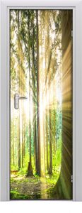 Tulup Fototapeta samoprzylepna na drzwi 75 x 205 cm Słońce w lesie 1