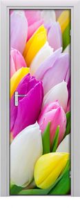 Tulup Fototapeta samoprzylepna na drzwi 75 x 205 cm kolorowe tulipany 1