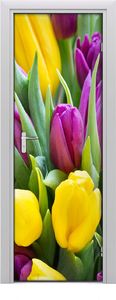 Tulup Fototapeta samoprzylepna na drzwi 75 x 205 cm kolorowe tulipany 1