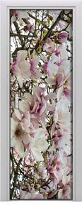 Tulup Fototapeta samoprzylepna na drzwi 75 x 205 cm Magnolia 1