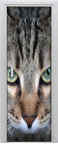 Tulup Fototapeta samoprzylepna na drzwi 75 x 205 cm oczy kota 1