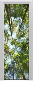 Tulup Fototapeta samoprzylepna na drzwi 75 x 205 cm korona drzewa 1