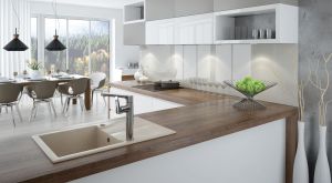 Zlewozmywak Deante  1-komorowy Andante z ociekaczem 49 x 78cm alabaster (ZQN_A113) 2