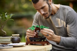 LEGO Icons Drzewko bonsai (10281) 4