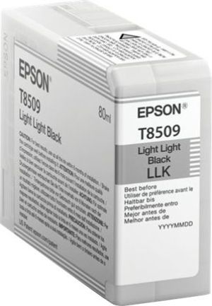 Tusz Epson Wkład atramentowy UltraChromeHD Light Light Black (C13T850900) 1