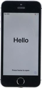 Smartfon Apple iPhone SE 2/16GB Szary Klasa A- A- (DX3T7DYHH2XJ) 1