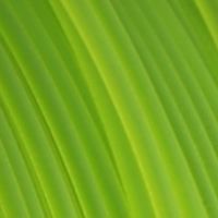 Fiberlogy Filament Fiberlogy Easy PET-G Light Green 1,75mm 850g 2