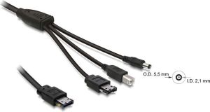 Delock Kabel eSATApd 12V > eSATA/USB-B/DC 1m (82466) 1