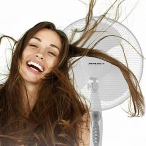 Wentylator Berdsen 355100 12