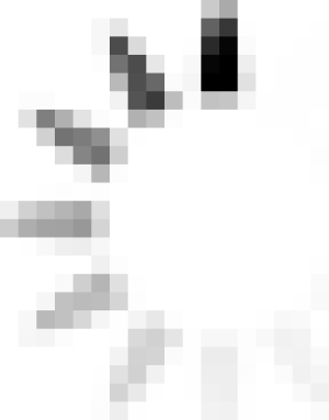 Plecak Lowepro SPORT BP 300 AW II- (LP-PSBP300II-B-DY) 15