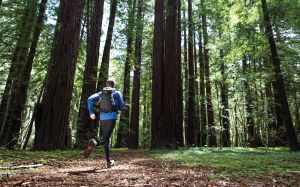 Plecak Lowepro SPORT BP 300 AW II- (LP-PSBP300II-B-DY) 4