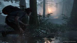 Naughty Dog The Last of Us Part II Edycja Specjalna PS4 3