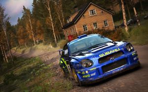 Dirt Rally PS4 5