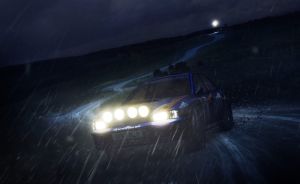 Dirt Rally PS4 8