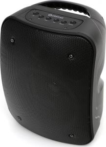 Głośnik Platinet PMG250 czarny (PMG250) 2