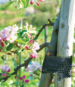 Bradas Taśma ogrodnicza 3cm x 50m TYT3X50 Bradas 1849 2