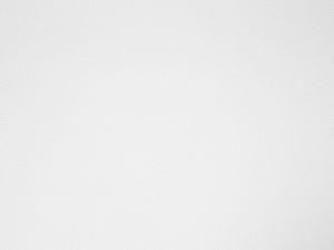 Beliani Sofa 2-osobowa biała VISSLAND 8