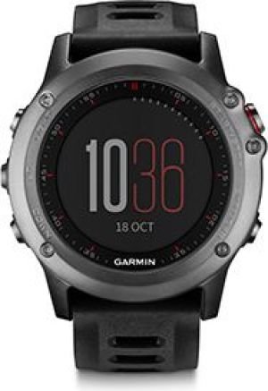 Zegarek sportowy Garmin Fenix 3 Szary (010-01338-01) 2