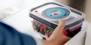 Blender Bosch MS8CM61V5 15