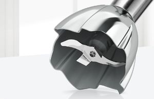 Blender Bosch MS8CM61V5 4