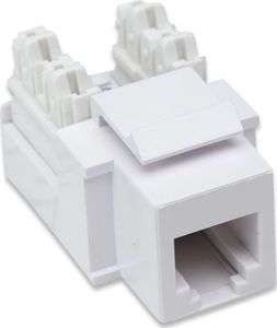 Intellinet Network Solutions MODUŁ KEYSTONE RJ11/12 BIAŁY 2
