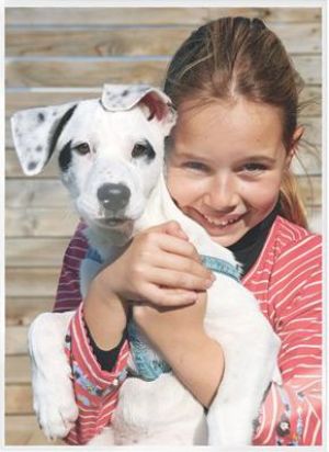 Leitz Folia do laminowania A3 80mic (7486-00-00) 2