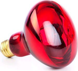 Well Life Lampa na podczerwień Infra 2