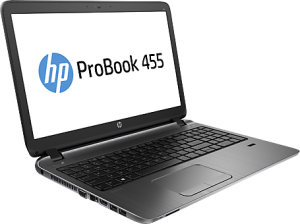 Laptop HP ProBook 455 G3 (P4P65EA) 2