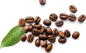 Lavazza Lavazza Blue Caffe Crema Lungo kapsułki 100szt 4