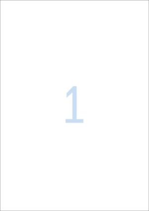 Herma Etykiety błyszczące A4, białe, papier błyszczący, 25 szt. (4909) 2