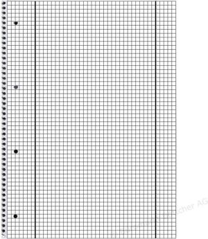 Herlitz Zeszyt A4, 80 stron (306456) 3
