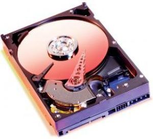 Dysk WD 3.5"  (WD800JD) 1