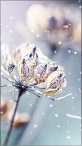 Monitor Samsung VM46R-E (LH46VMRUBGBXEN) 4