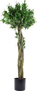 Art-Pol Ekskluzywne Drzewo Oliwka dekoracyjne w doniczce wys. 150 cm 1