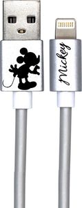 Kabel USB USB-A - Lightning 1 m Srebrny (DUSMIC014) 1