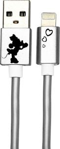 Kabel USB USB-A - Lightning 1 m Srebrny (DUSMIN001) 1