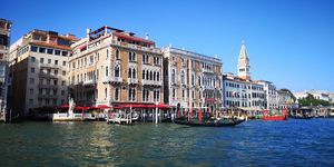 Kawa ziarnista Venezia Platino 1 kg 7