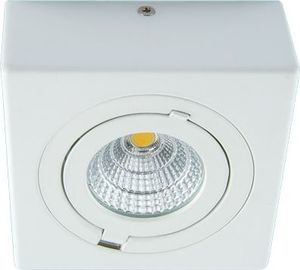Lampa sufitowa IDEUS Plafoniera LED 9W 4000K IP20 IGOR LED D 1282 1